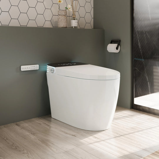 ABRUZZO Smart Bidet Toilet Auto Flush, Heated Seat, Warm Water, Dryer, Remote Control, Panel Black / White Options