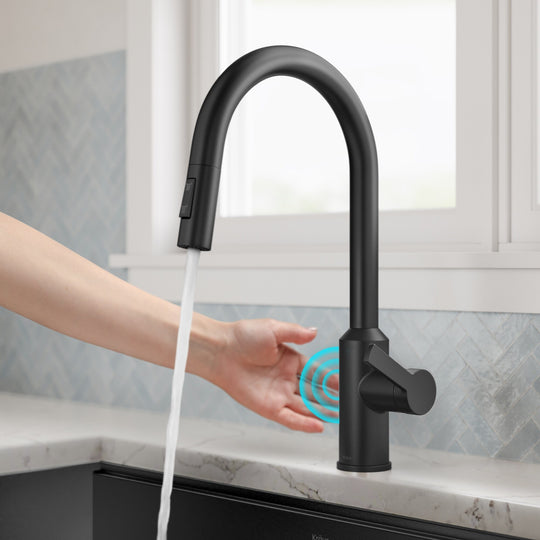 2-Function 1-Handle 1-Hole Pulldown Sprayer Brass Kitchen Faucet