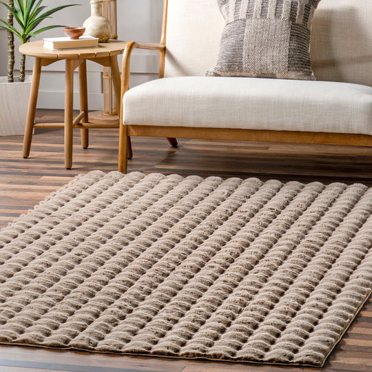 Jeni Solid Plush Machine Washable Area Rug