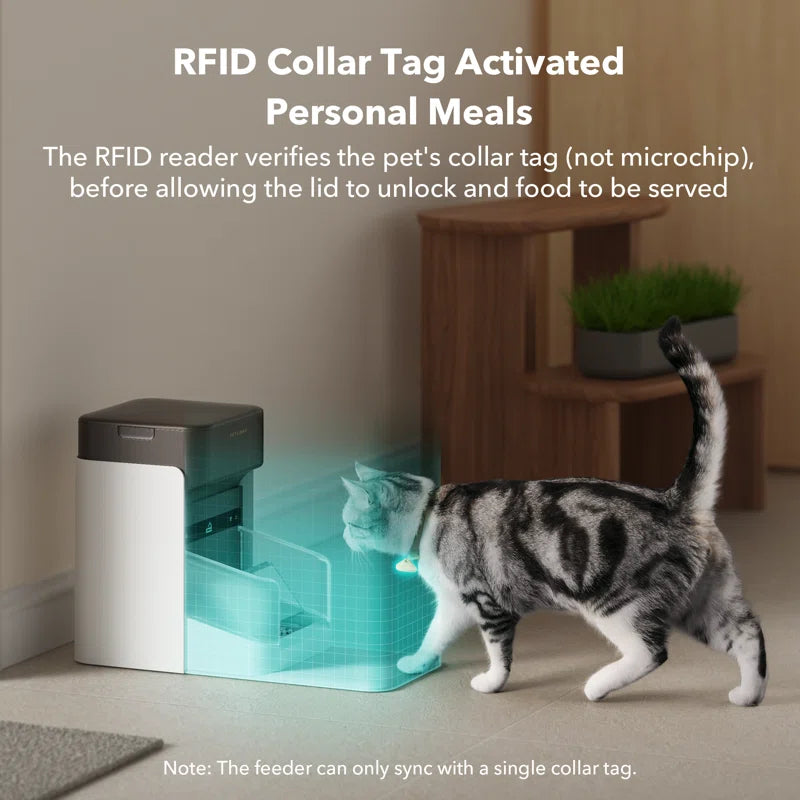 One RFID Automatic Feeder with Smart APP Control, Coffee, 3L, 1 Count