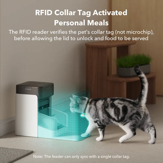 One RFID Automatic Feeder with Smart APP Control, Coffee, 3L, 1 Count