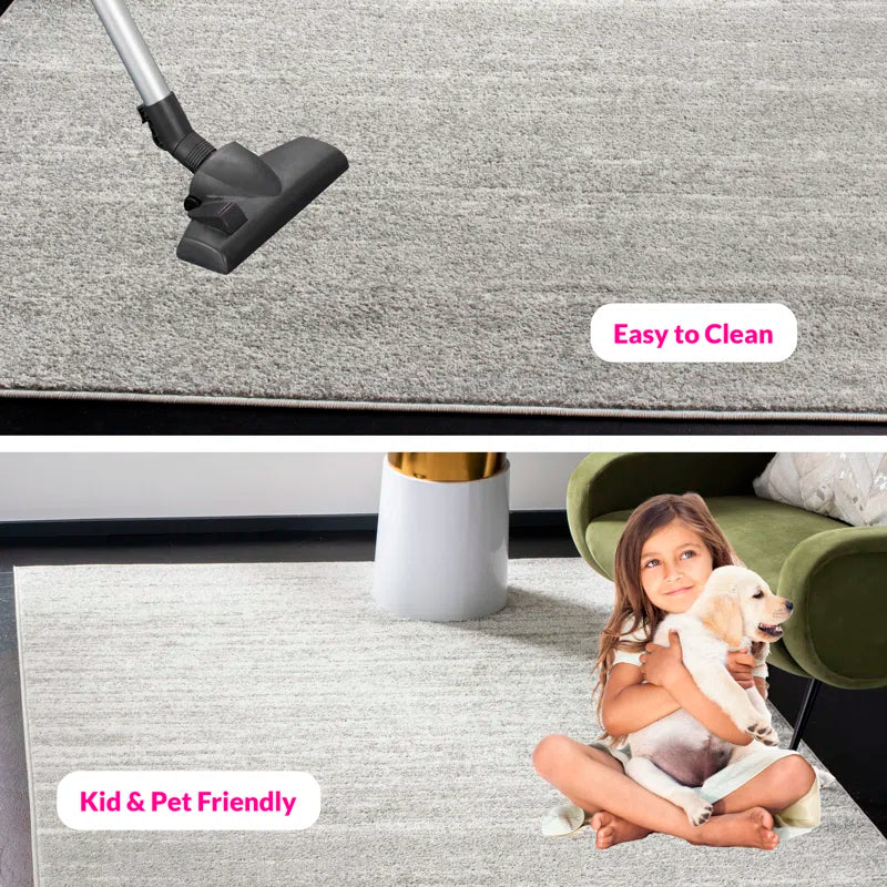 Bethlyn Gray/Light Gray Area Rug