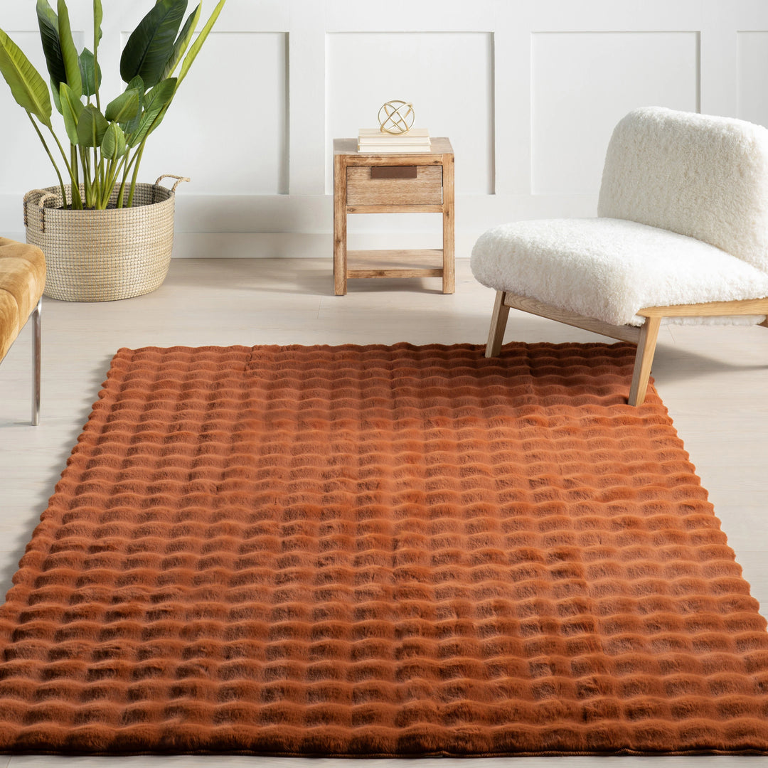Jeni Solid Plush Machine Washable Area Rug