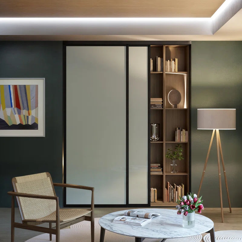 2 Panel - Black Frame - Closet and Room Divider