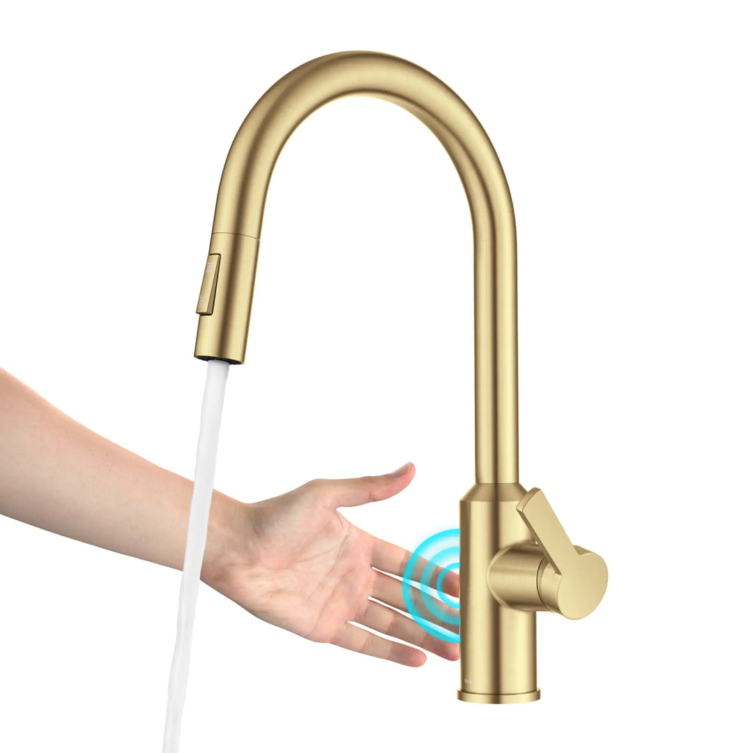 2-Function 1-Handle 1-Hole Pulldown Sprayer Brass Kitchen Faucet