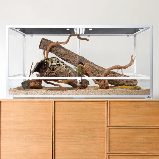 48'' X 24'' X 24'' Reptile Terrarium