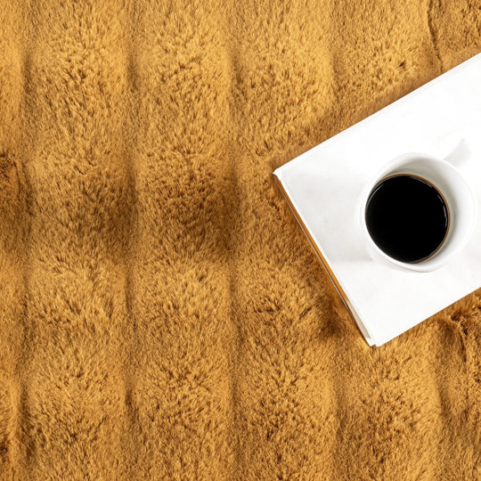 Jeni Solid Plush Machine Washable Area Rug