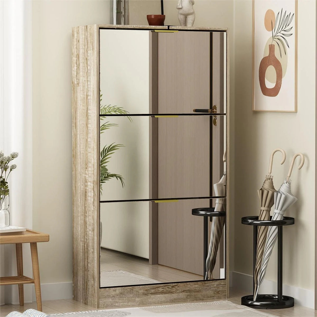 Mirrored Flip Drawer Shoe Cabinet Storage Cabinet Organizer