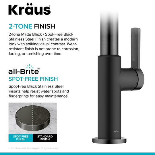 2-Function 1-Handle 1-Hole Pulldown Sprayer Brass Kitchen Faucet