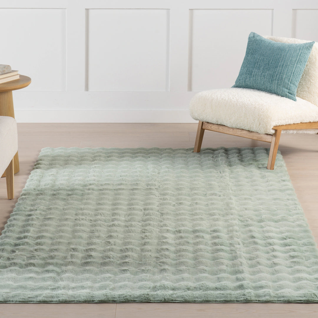 Jeni Solid Plush Machine Washable Area Rug