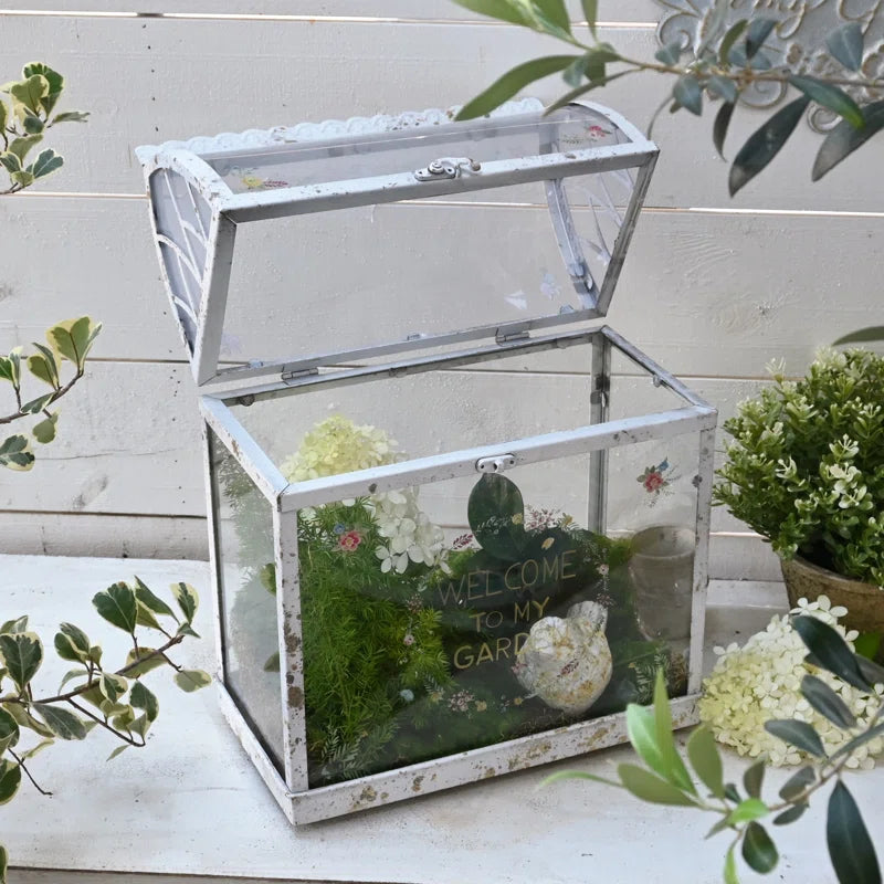 Vintage Glass Terrarium with Acrylic Lid ,Rustic Tabletop Greenhouse for Succulents, Air Plants