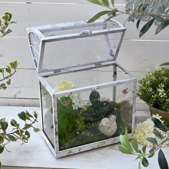 Vintage Glass Terrarium with Acrylic Lid ,Rustic Tabletop Greenhouse for Succulents, Air Plants