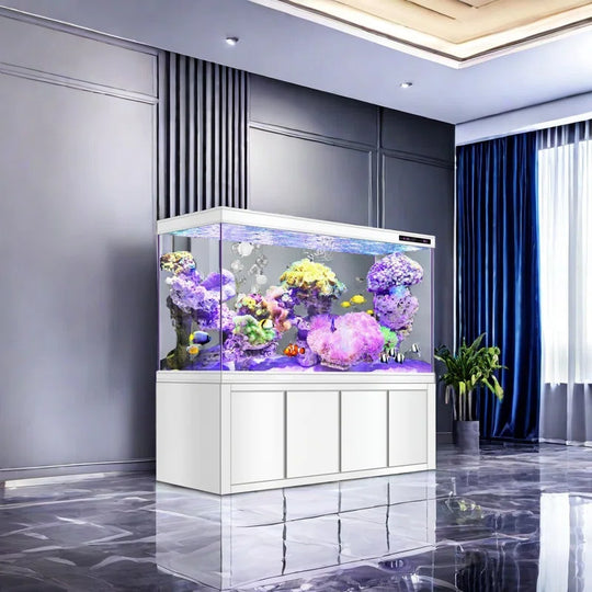 Modern Minimalist Rectangular Eco Aquarium Tank