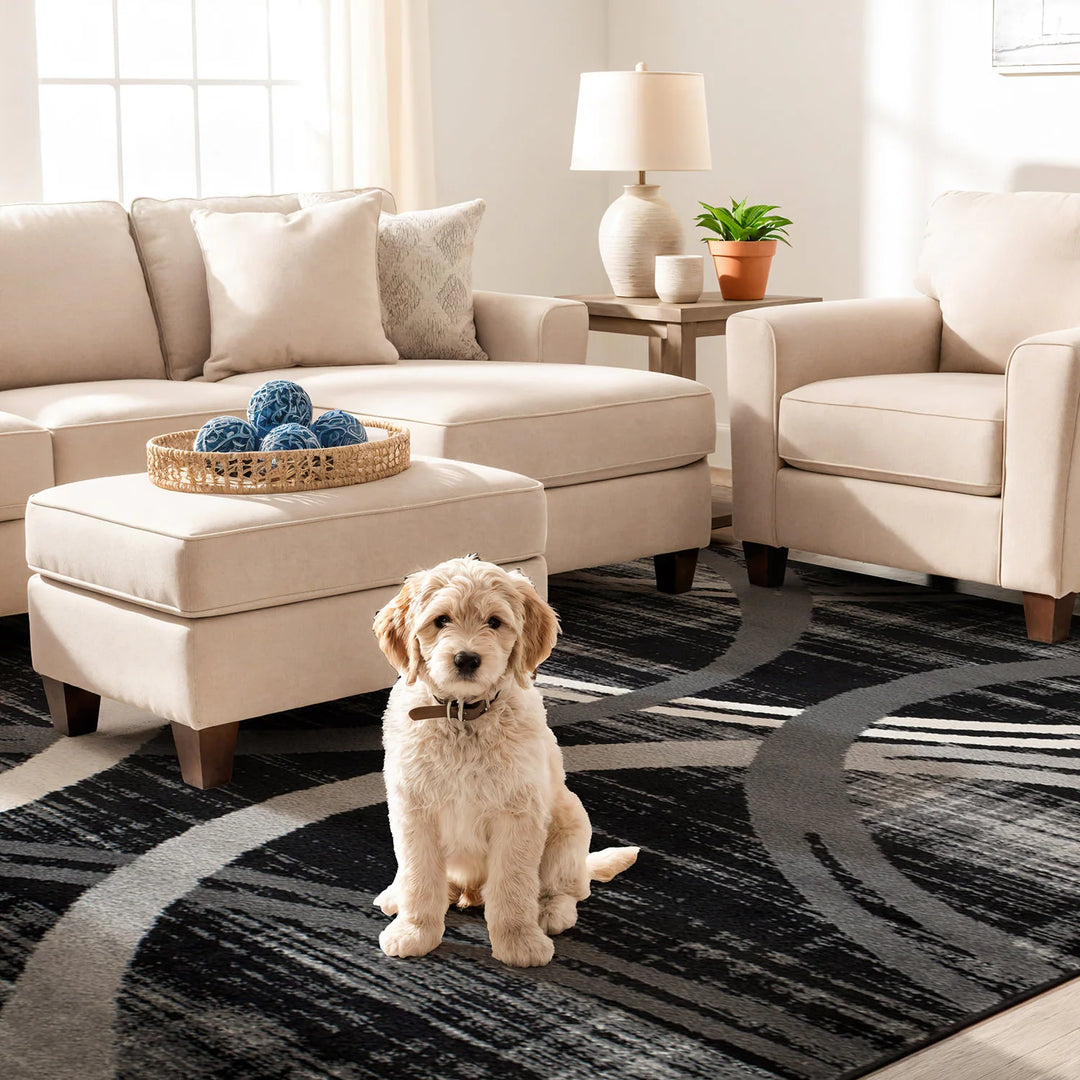 Contemporary Abstract Circles Design Area Rug