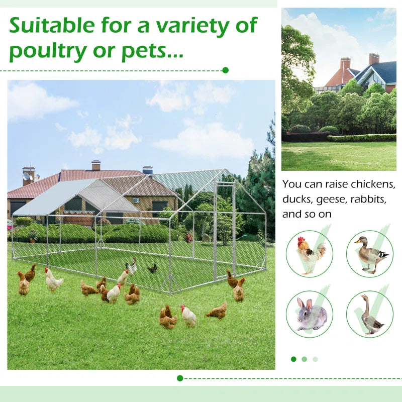 Derward 200 Square Feet Walk in Chicken Run for up to 20 Chickens