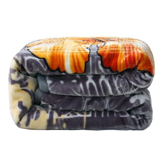 Empyrean Velvet 2 Ply Heavy Reversible Printed Raschel Blanket