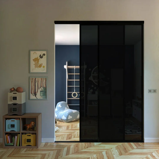 2 Panel - Black Frame - Closet and Room Divider