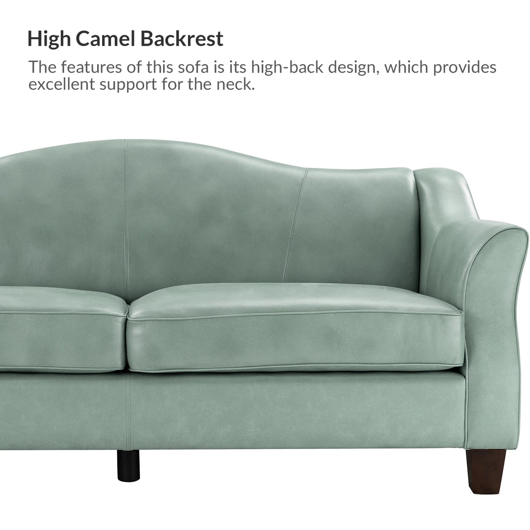 Sandra 81.5" Classic Genuine Leather Sofa with Solid Wood Legs by
