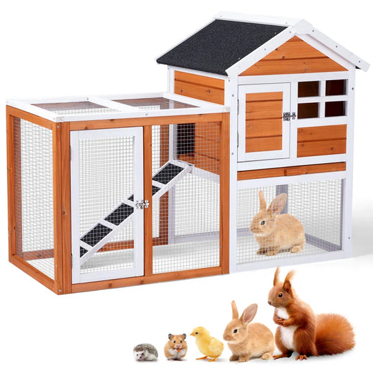 Elselore 6.5 Square Feet Chicken Coop for up to 3 Chickens