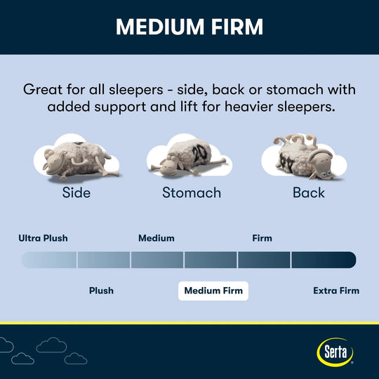 Perfect Sleeper 12" Medium Firm Gel Memory Foam Mattress in a Box