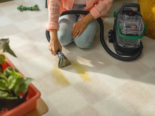 Little Green Pet Pro Portable Carpet Cleaner Portable Carpet and Upholstery Deep Cleaner, Car/Auto Detailer, with Self-Cleaning Tough Stain Tool, Pet Hair Removal Tool, Crevice Tool 3908