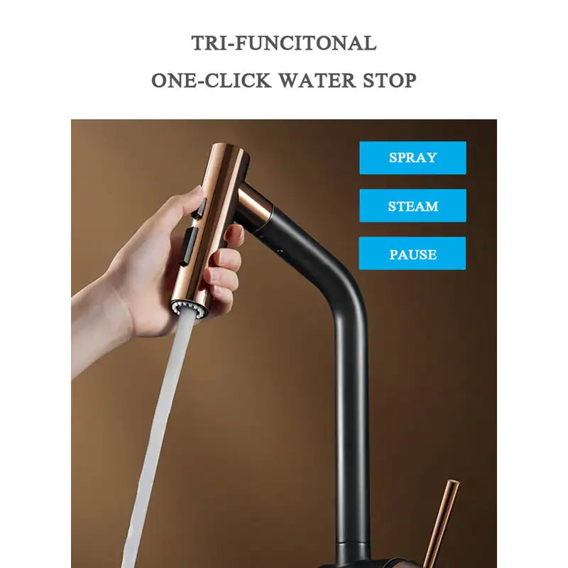 Kitchen Faucet with Pull down Sprayer, Cold & Hot Water Function