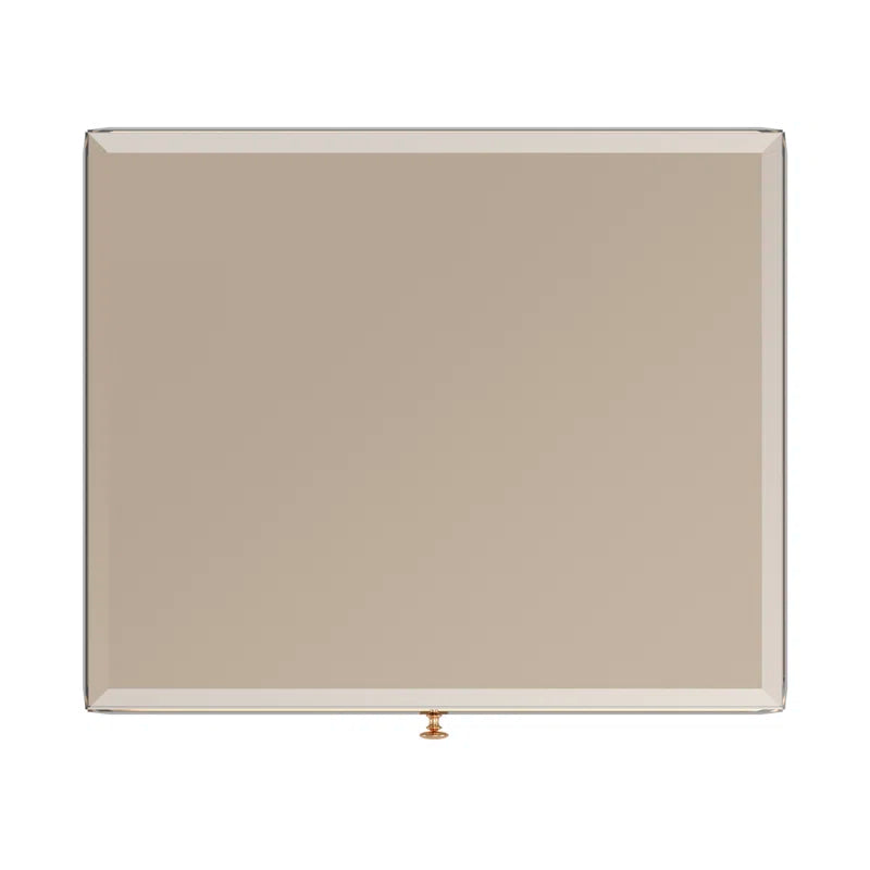 Nyasha Mirrored Glass Top End Table with Storage