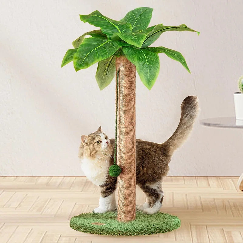 Denasia Scratching Post