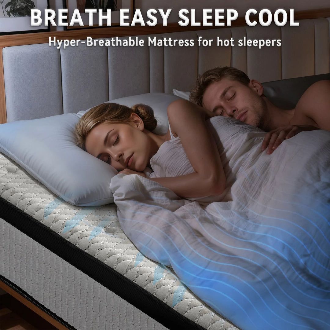 12-Inch Hybrid Mattress with Memory Foam Comfort & Individually Wrapped Coils