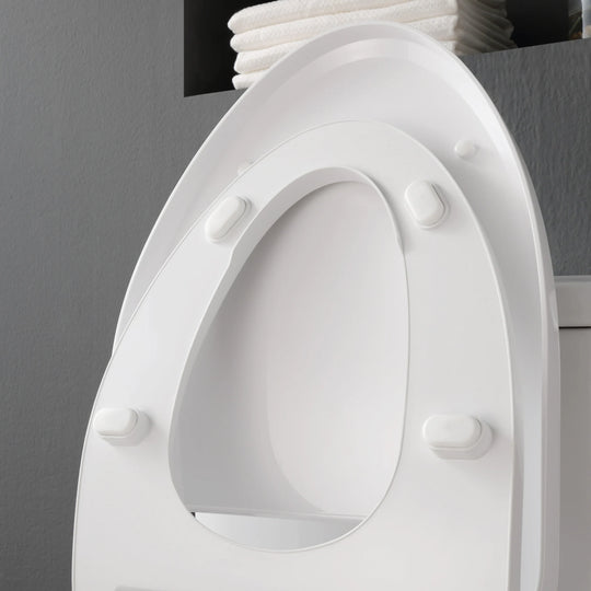 Felix Elongated Electric Bidet Toilet in White