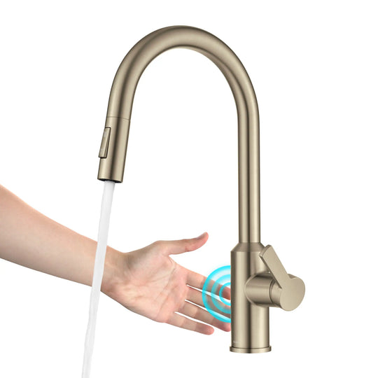 2-Function 1-Handle 1-Hole Pulldown Sprayer Brass Kitchen Faucet
