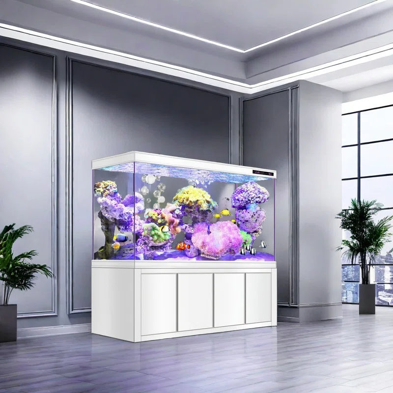 Modern Minimalist Rectangular Eco Aquarium Tank