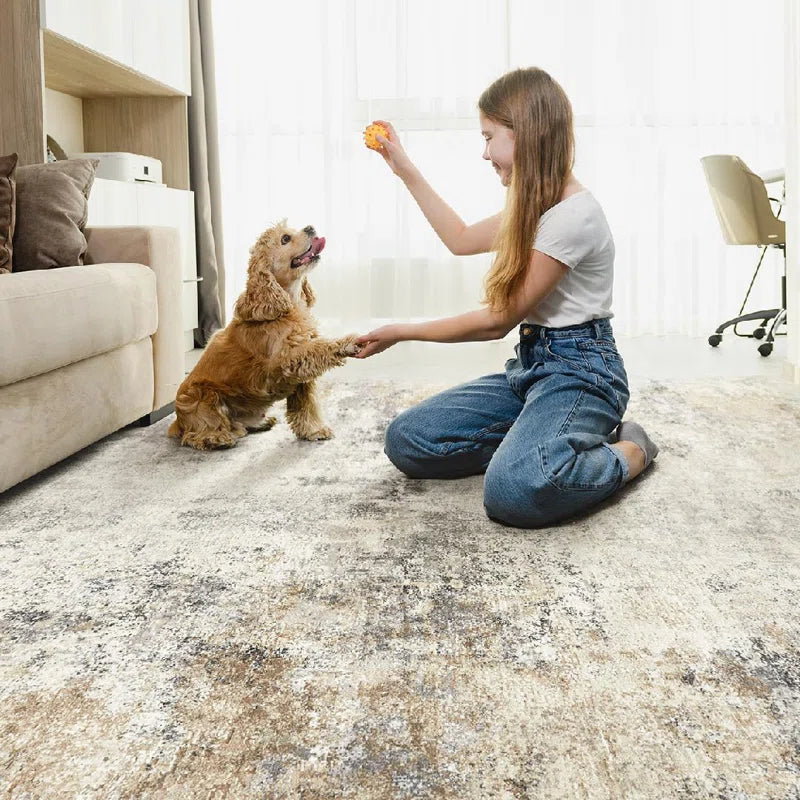 Dagmar Machine Washable Area Rugs Modern Abstract Rugs Ultra Soft Indoor Floor Mat for Dining Room Low Pile Carpet with Non Slip Backing