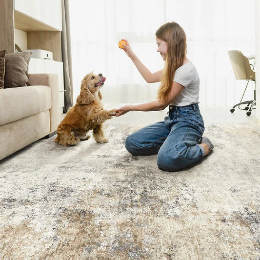 Dagmar Machine Washable Area Rugs Modern Abstract Rugs Ultra Soft Indoor Floor Mat for Dining Room Low Pile Carpet with Non Slip Backing