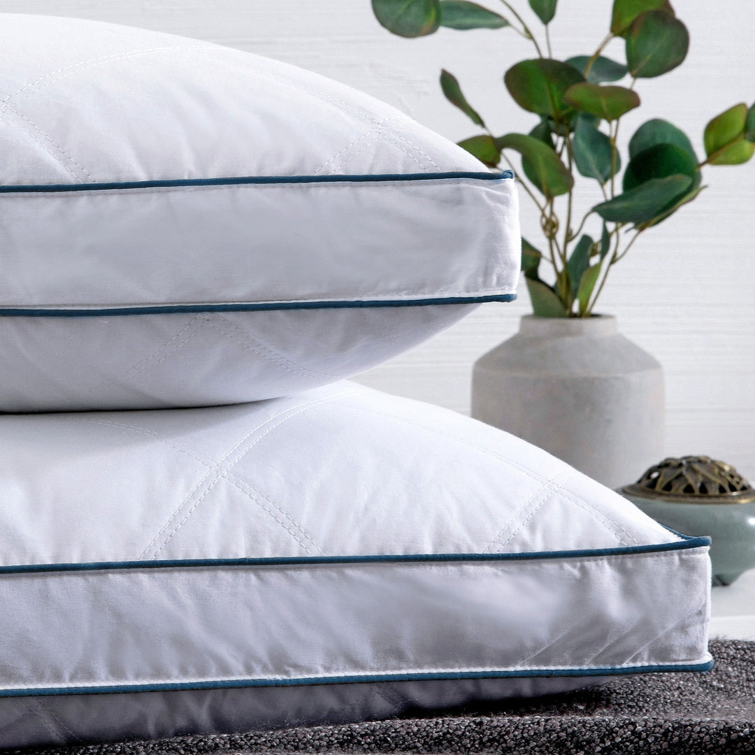 Medium-Firm 2-Inch Gusset Feather and down Pillows Set of 2