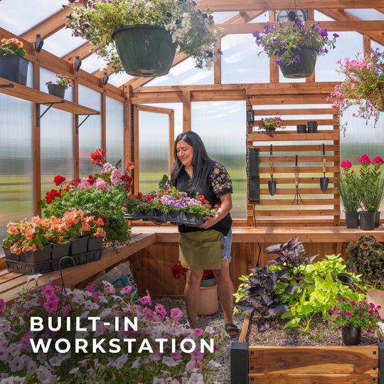 Bellerose XL 13'X11' Cedar Wood Greenhouse, Pergola - 13 X 11