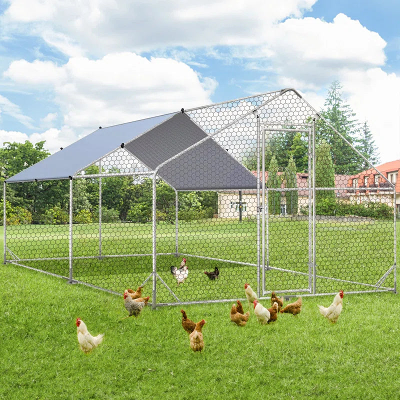 Deryck 130 Square Feet Walk in Chicken Run for up to 13 Chickens