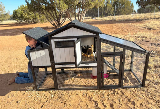 Gyta 65"L Chicken Coop with Run, Wooden Hen House with Nesting Box, UV Panel