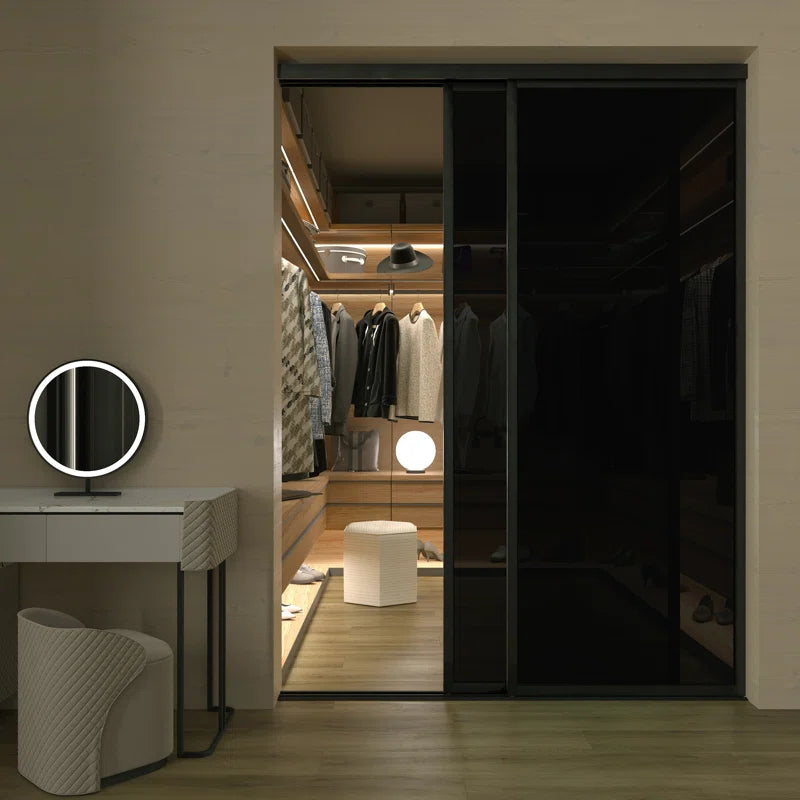2 Panel - Black Frame - Closet and Room Divider