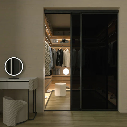 2 Panel - Black Frame - Closet and Room Divider