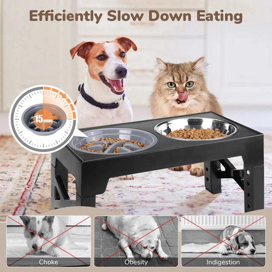 Elevated Dog Bowls, Dog Feeder with Stainless Steel Bowl & Slow Feeder Dog Bowl, 5 Heights Adjustable Raised Dog Bowls Stand