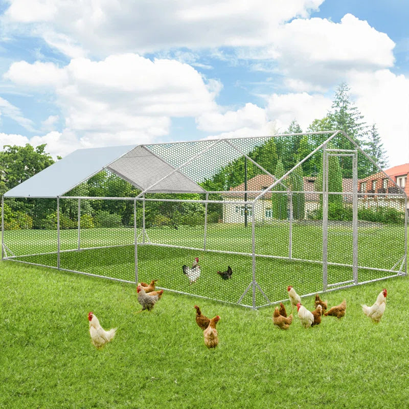 Derward 200 Square Feet Walk in Chicken Run for up to 20 Chickens
