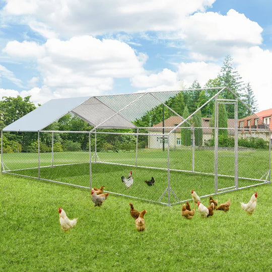 Derward 200 Square Feet Walk in Chicken Run for up to 20 Chickens