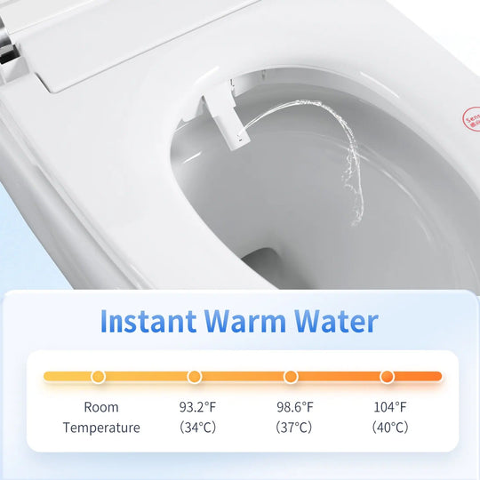 ABRUZZO Smart Bidet Toilet Auto Flush, Heated Seat, Warm Water, Dryer, Remote Control, Panel Black / White Options