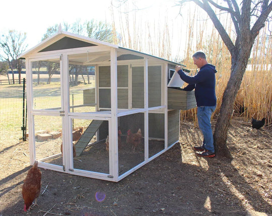 Big Green Chicken Coop
