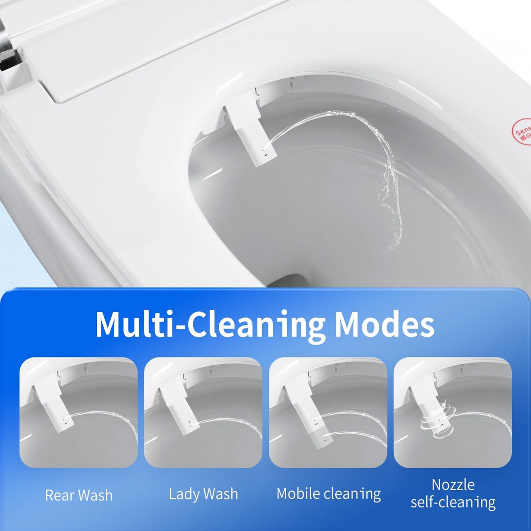 ABRUZZO Smart Bidet Toilet Auto Flush, Heated Seat, Warm Water, Dryer, Remote Control, Panel Black / White Options