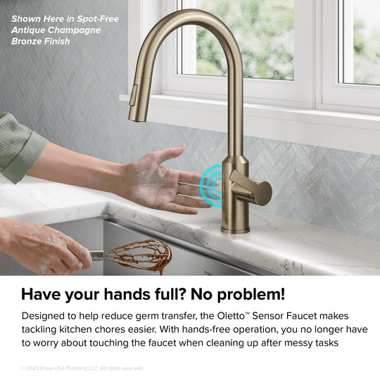 2-Function 1-Handle 1-Hole Pulldown Sprayer Brass Kitchen Faucet