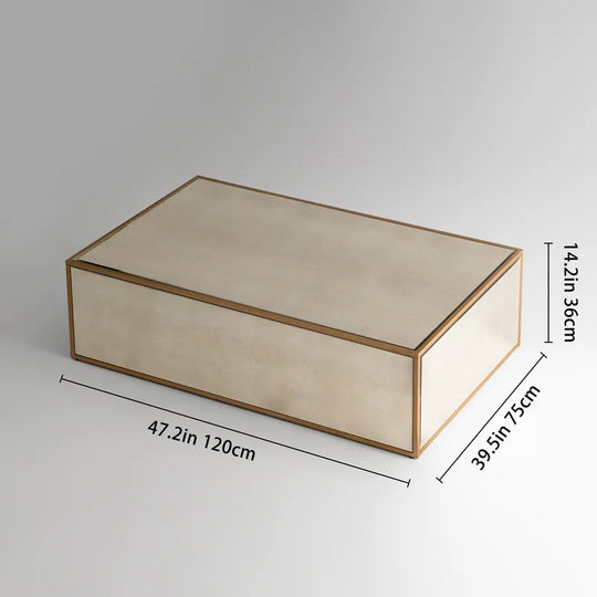Modern Rectangular Coffee Table