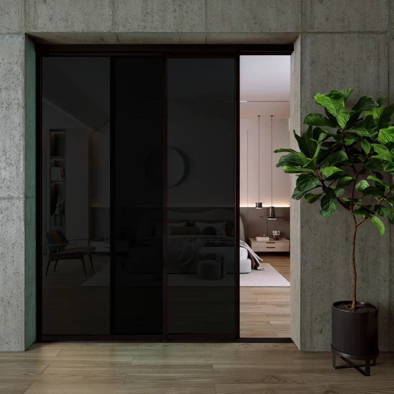 2 Panel - Black Frame - Closet and Room Divider