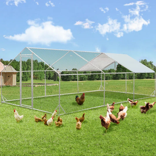 Derward 200 Square Feet Walk in Chicken Run for up to 20 Chickens
